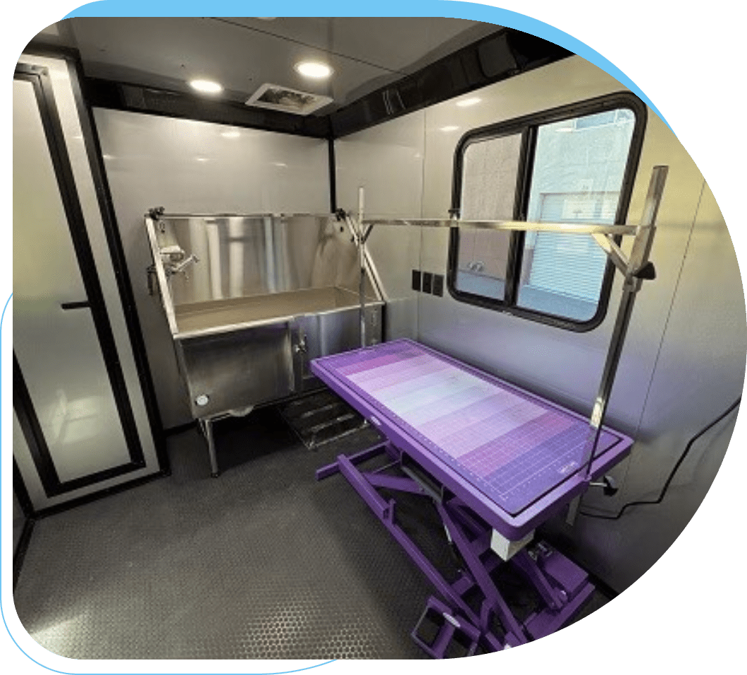 Interior of a modern veterinary clinic exam room with an examination table.