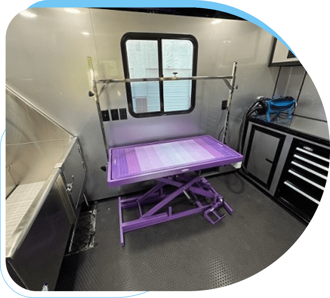 Modern veterinary examination room with a purple adjustable table and medical equipment.